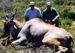 Eland