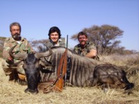 Wildebeest hunt