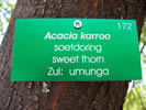 Tree tag