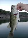 Bass fishing